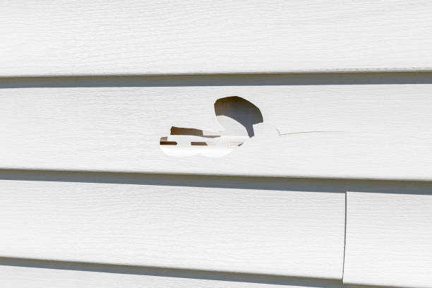 Best Stucco Siding  in Enfield, NC