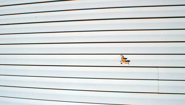 Best Aluminum Siding Installation  in Enfield, NC