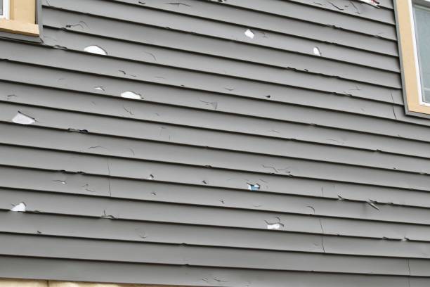 Best Stone Veneer Siding  in Enfield, NC