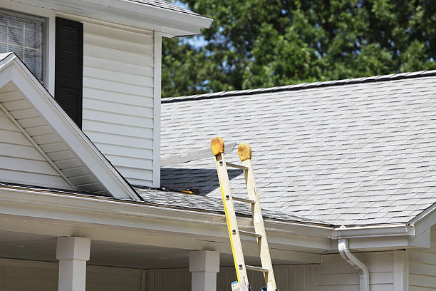 Best Custom Siding Design  in Enfield, NC